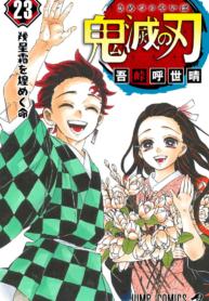 Capa de Kimetsu no Yaiba
